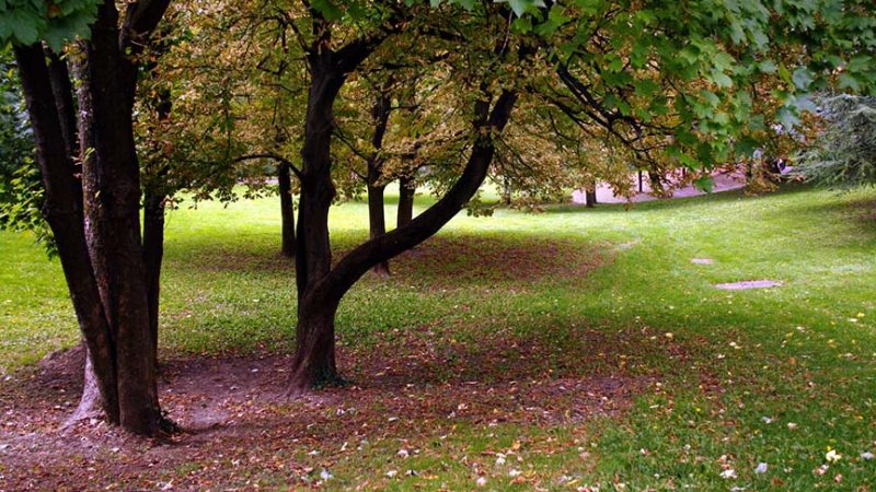 Lyon’s Parks and Gardens: Nature Escapes in the Urban Jungle